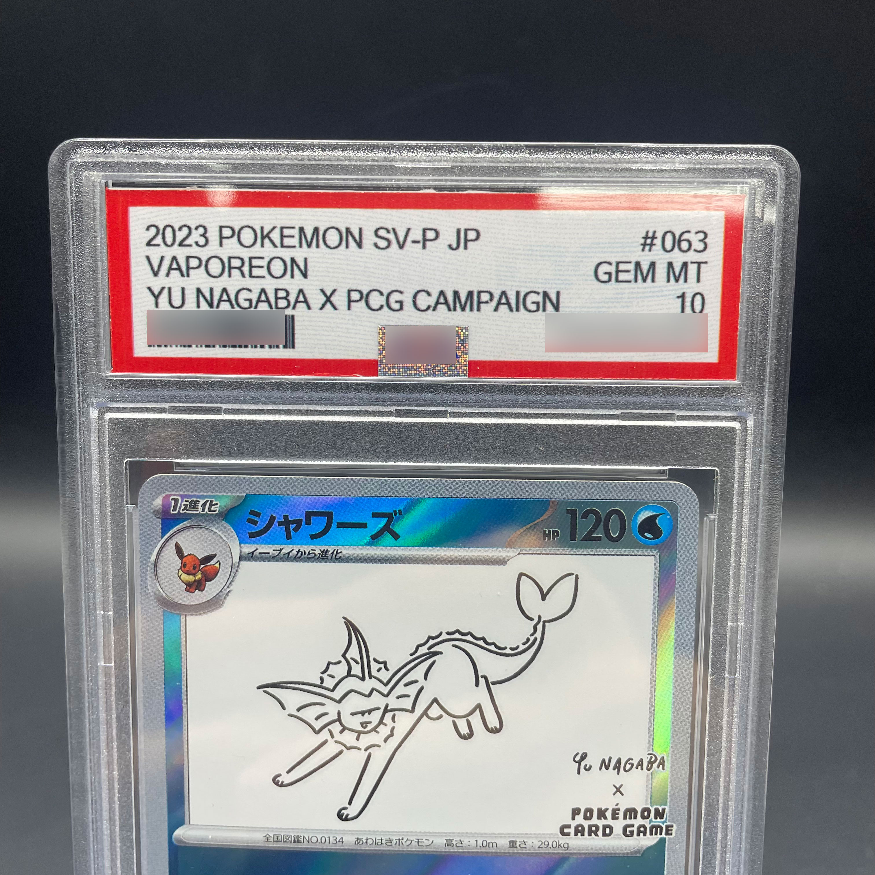 DIY Anime PTCG Self-made 2023  - Board Game Anime recensione e prezzo